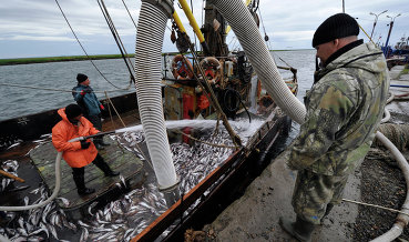 Трутнев сообщил об изношенности рыбопромысловых судов в РФ