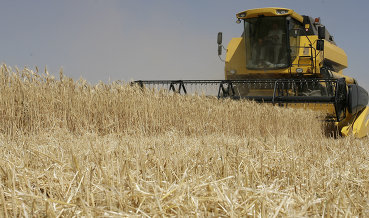 Киев хочет приватизировать 150-180 аграрных предприятий в этом году
