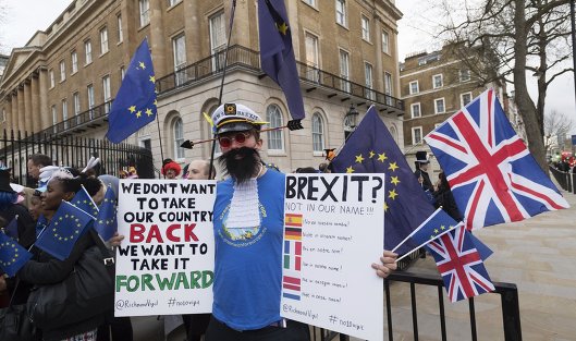 Противник выхода Великобритании из Европейского Союза на улице Лондона