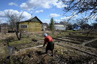 Открытие дачного сезона в Новгородской области