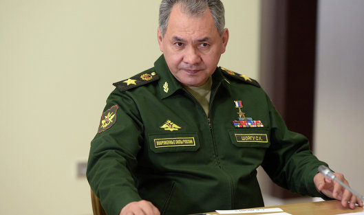*Министр обороны РФ Сергей Шойгу0
