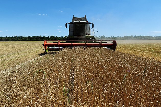 Уборка пшеницы в Ростовской области