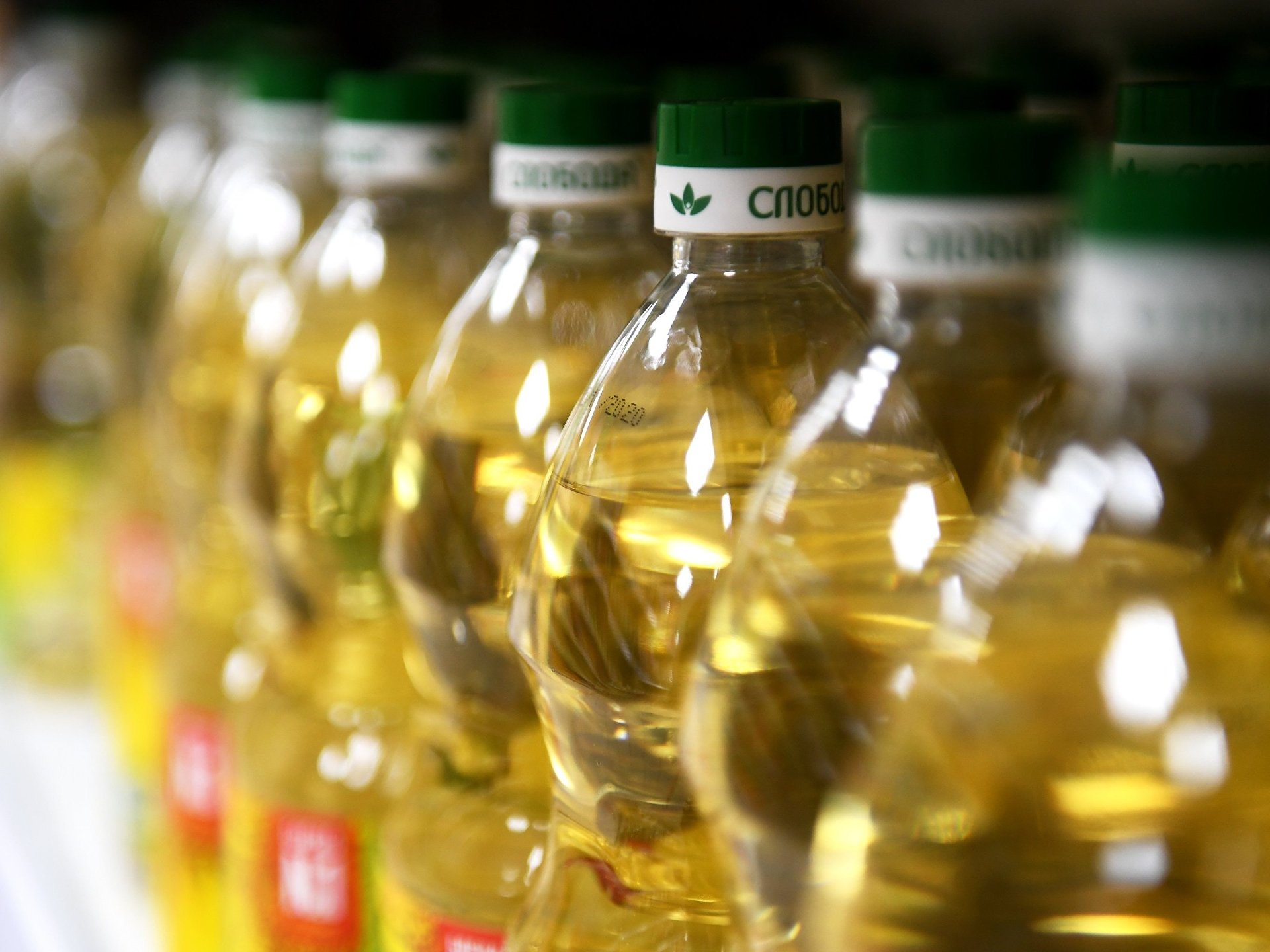 Экспорт растительного масла. Растительное масло. Экспорт подсолнечного масла. Экспорт растительного масла из России.
