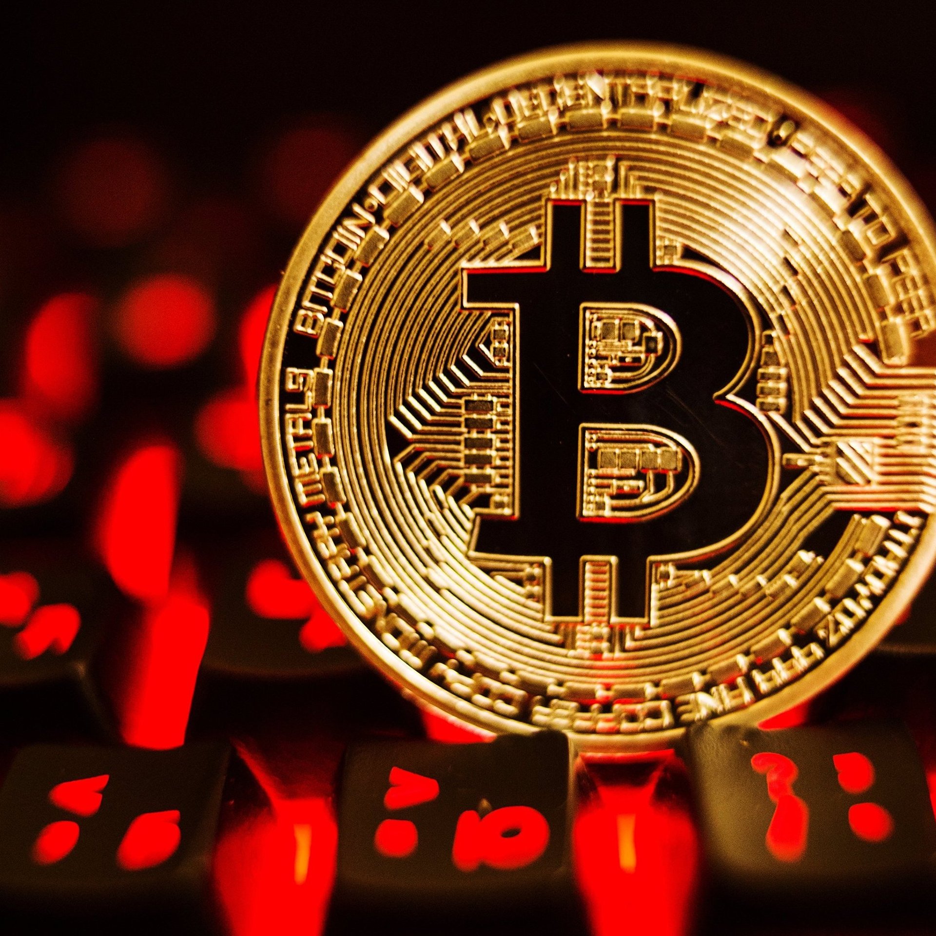 Почему подешевел биткоин сегодня hack a bitcoin wallet