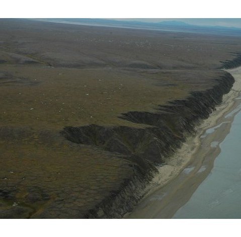 Ученые провели авиационное обследование 400-километрового западного участка арктического побережья Чукотки