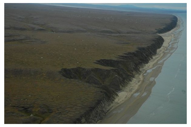 Ученые провели авиационное обследование 400-километрового западного участка арктического побережья Чукотки