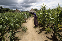 Деревня близ города Мутаре в Зимбабве