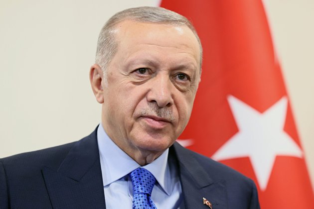 Эрдоган обсудит с кабмином Турции проект 