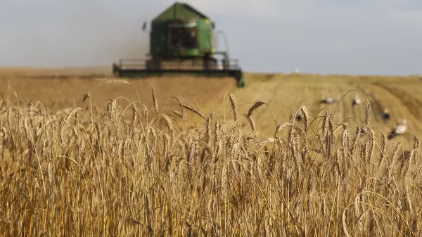 В России усилят обработку сельхозземель в 2024 году